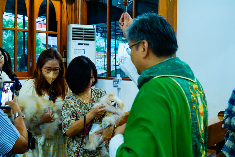 Pemberkatan Hewan Peliharaan Meriahkan Perayaan Santo Fransiskus Asisi di Gereja Kalvari